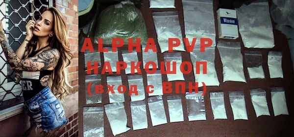 гашик Абаза