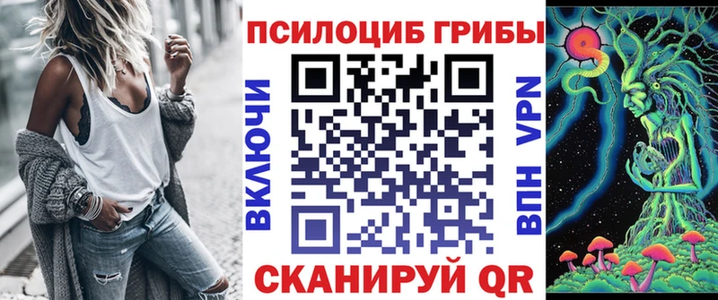 Псилоцибиновые грибы Psilocybine cubensis  Беломорск 
